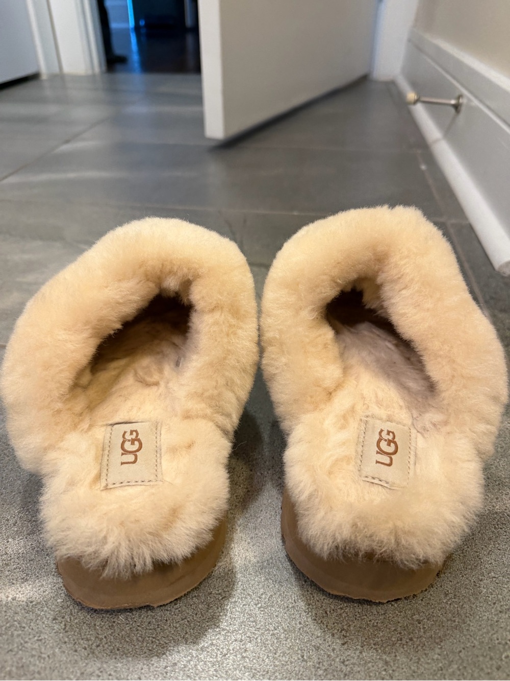 Ugg Disquette Slippers in Chestnut - Picture 6 of 7